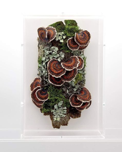 Fungi Art, Textiles Sketchbook, A Level Textiles, Lichen Moss, Growth And Decay, Fiber Sculpture, Contemporary Textiles, Textile Fiber Art, Textile Artist