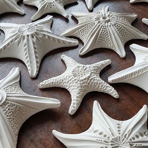 Beach Art Diy, Stone Ceramic, Sea Stars, Sculpture Art Clay, Stella Marina, Pottery Videos, Pottery Inspiration, Hand Built Pottery, Pottery Crafts