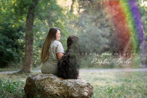 Celebration of life photo shoot for dogs with their dog mom with dog photographer lisa olson with Pets R Family. Posing pets and people. Rainbow bridge photo edit Senior Dog Portraits, Dog Last Day Photoshoot, Dog And Mom Photoshoot, Dog Last Day, Pet Poses, Pet Photography Poses, Dog Photoshoot Pet Photography, Dog Portrait Photography, Dog Photography Poses