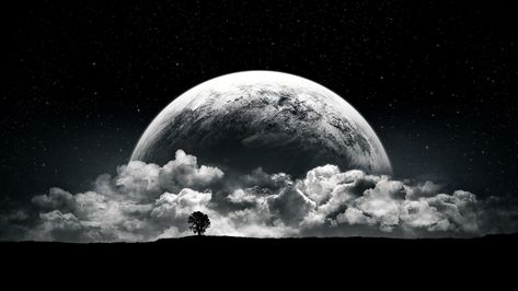 #planet #Moon #clouds #stars #night #black #white #space #monochrome #dark #surreal fantasy art digital art space art #trees #landscape #1080P #wallpaper #hdwallpaper #desktop Dope Wallpapers Hd, 8k Resolution Wallpapers, Monochrome Wallpaper, Wallpaper Moon, Laptop Wallpaper Desktop Wallpapers, 1080p Wallpaper, Star Cloud, Star Wallpaper, Stars At Night