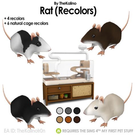 Rat (Recolors)! I also finally had some time to create some recolors for the rats! Hope you like it! Download: http://simfileshare.net/download/539922/ … Sims 4 Cc Animals, Sims 4 Pets Mod, Sims Pets, Sims 4 Mm Cc, Sims 4 Cc Folder, Sims 4 Update, Sims 4 Mm, Pet Rats, Sims Four