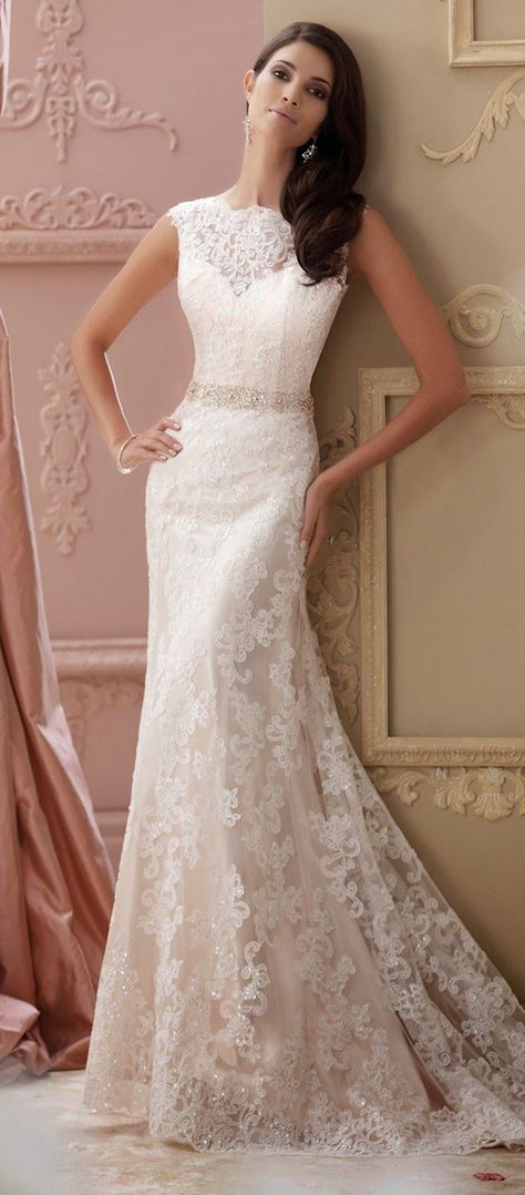 gorgeous vintage lace wedding dresses with pearls David Tutera Wedding Dresses, Pearl Wedding Dress, Vintage Lace Weddings, David Tutera, Robes Vintage, Pnina Tornai, 2015 Wedding Dresses, Sophisticated Bride, Lace Wedding Dress Vintage