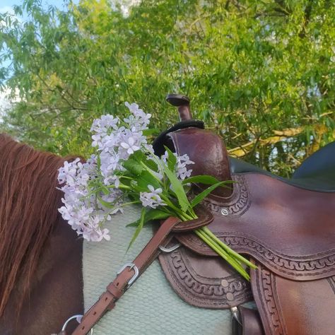 Animal Fairy Aesthetic, Earthy Nature Aesthetic, Western Frontier Aesthetic, Cottage Cowgirl Aesthetic, Flower Fairy Aesthetic, Saddle Aesthetic, Soft Country Aesthetic, Cute Fairy Aesthetic, Fall Aesthetic Brown