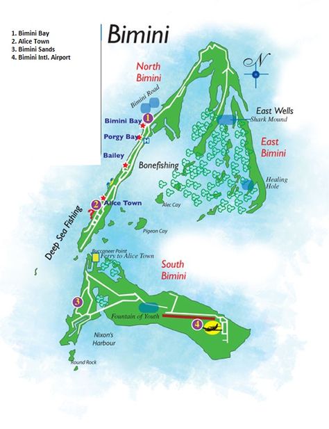 Map of the Bimini islands, North, South & East. Jet Ski Accessories, Bahamas Map, Bimini Islands, Bimini Bahamas, Swimming With Dolphins, Florida East Coast, Bahamas Island, Go Swimming, Caribbean Style