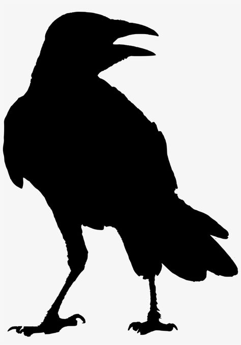 Crow Outline, Crow Clipart, Raven Silhouette, Crow Images, Crow Silhouette, Crows Drawing, American Crow, Creepy Halloween Decorations, Crow Art