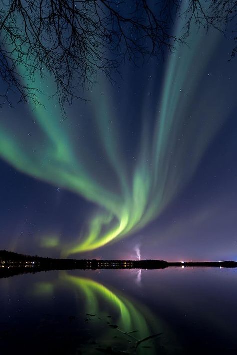 The northern lights in Oulu, Finland Northern Lights Finland, Finland Culture, Oulu Finland, Europe Country, Northern Lights Viewing, Northern Lights Photography, Northern Lights Norway, Lights Photography, Aurora Australis