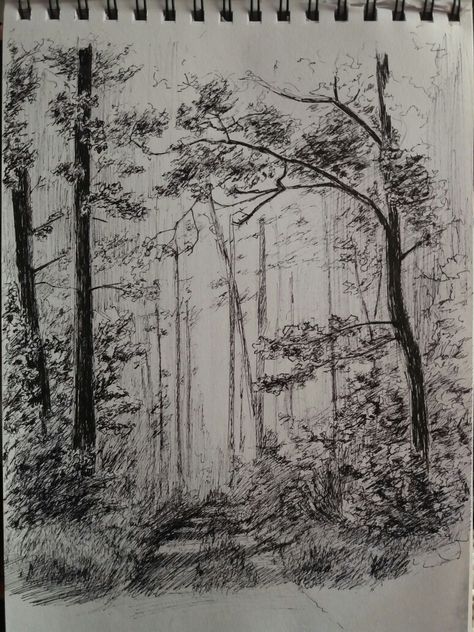 Forest Drawing Pencil Sketches, Forest Trail Drawing, Pencil Drawing Forest, Easy Forest Sketch, Forest Clearing Drawing, Drawing Forest Pencil, Magical Forest Drawing Pencil, Magical Forest Sketch, Pencil Forest Drawing