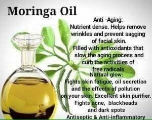 Moringa Oil Benefits, Essential Oil Spray Recipes, Benefits Of Moringa, Hair And Skin Vitamins, Moringa Benefits, Moringa Tree, Natural Oils For Skin, Anti Aging Oils, Herbal Apothecary