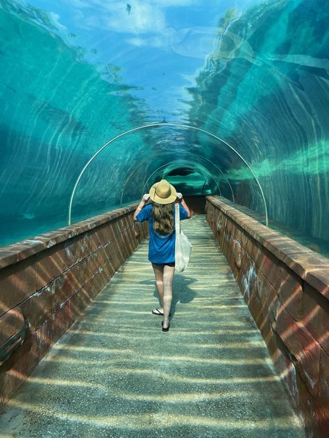 Atlantis Bahamas Pictures, Cruise Photoshoot, Bahamas Pictures, Bahamas Resorts, Atlantis Bahamas, Travel Inspiration Destinations, Fun Places To Go, Travel Inspo, Holiday Destinations