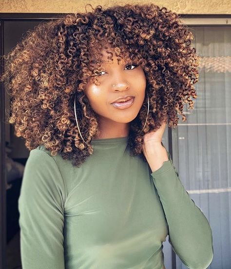 Honey Blonde Balayage Natural Hair, 4c Honey Blonde Highlights, Black Women Natural Hair Dyed, Fall Hair Colors Natural Hair, Natural Hair Ombre, Highlights For Curly Hair Natural Curls Black Women, Blonde Tips On Black Hair Black Women, Afro Highlights Black Women, Blonde Tips Curly Hair