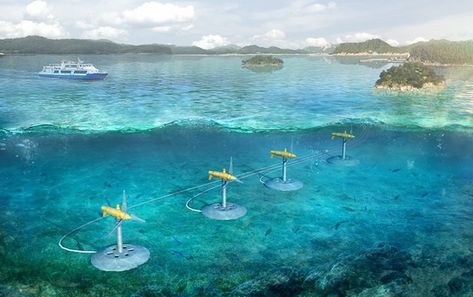 Tidal Power, Tidal Energy, Back To The Gym, Ocean Science, Marine Ecosystem, Energy Industry, Power Energy, Energy System, Green Energy