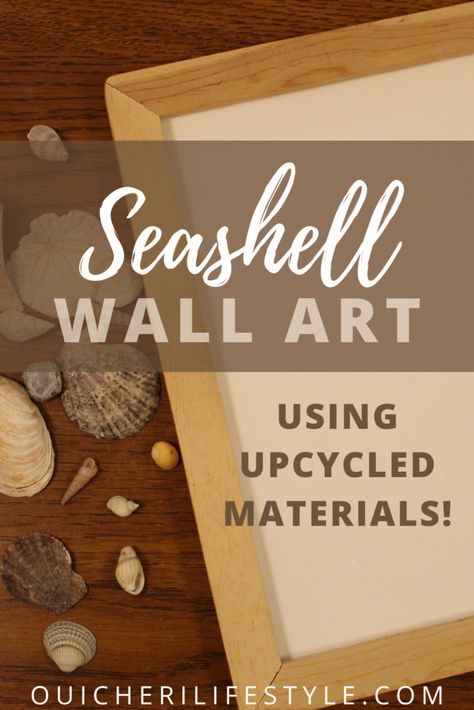 How To Frame Shells, Shell Wall Art Diy, How To Display Sea Shells, Shell Display Ideas, Seashell Display Ideas, Nature Display, Seashell Wall Decor, Collecting Seashells, Seashell Artwork