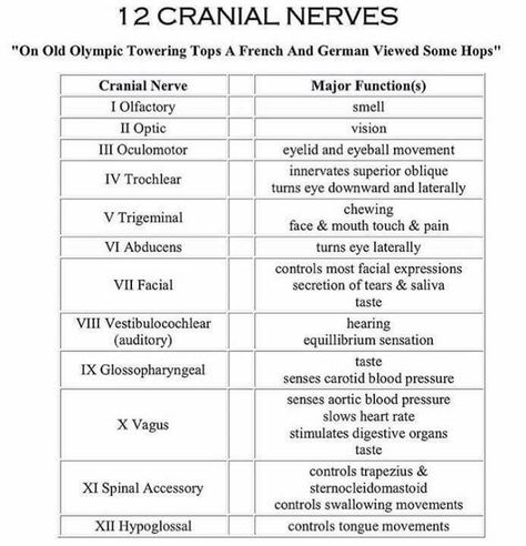 12 cranial nerves 12 Cranial Nerves, Nursing Cheat Sheet, Nursing Cheat, Nclex Review, Physical Therapist Assistant, Nclex Study, Cranial Nerves, Med Surg, Nursing Study