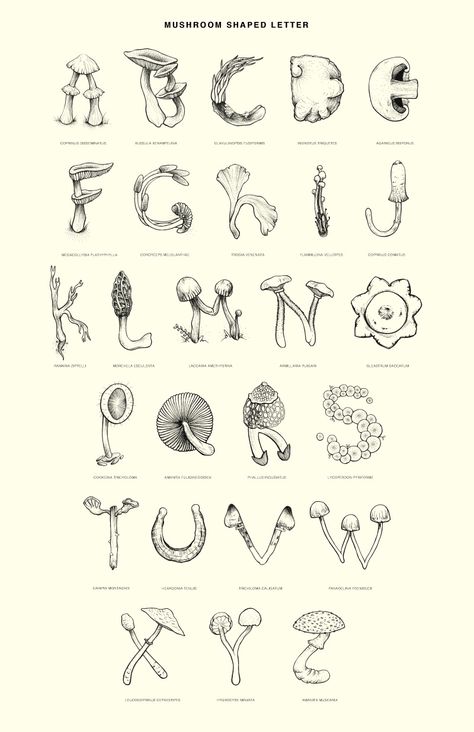 Shape Letters Design, Fonts For Lettering, Trippy Fonts Alphabet, Nature Typography Design, Mushroom Typography, Mushroom Lettering, Cool Lettering Fonts Alphabet, Cute Font Alphabet, Woodland Font