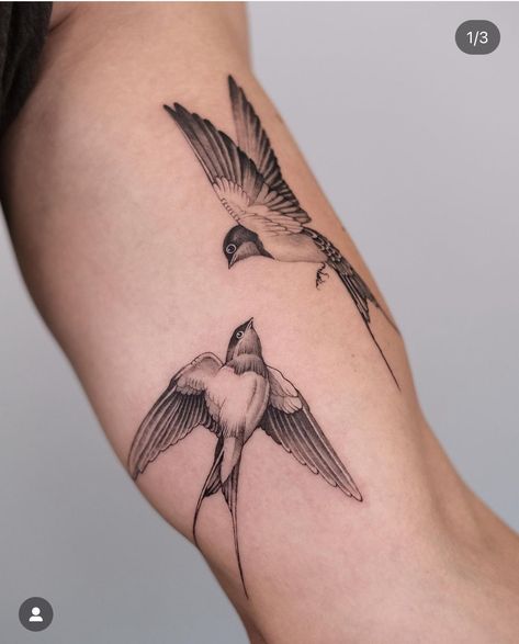 Sparrow Bird Tattoo, Golondrinas Tattoo, Swallow Tattoo Design, Print Making Designs, Swallow Bird Tattoos, Bird Tattoos For Women, Shoulder Tats, Fake Skin, Bird Tattoos