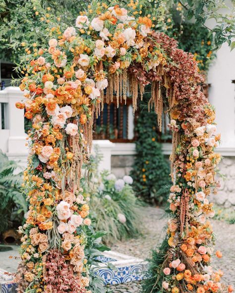 **Long but juicy post warning ** Foam-free arch of roses, amaranthus, sandersonia, fritillaria imperialis, spray roses, lisianthus,… Wedding Arch Orange, Hanging Amaranthus Wedding Arch, Amaranthus Wedding Arch, Hanging Amaranthus Wedding, Brutal Fruit, Sardinia Wedding, Fritillaria Imperialis, Moon Gates, Ceremony Arbor