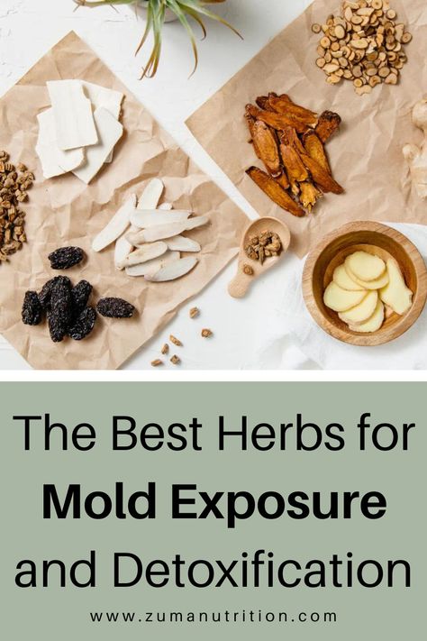 Mold exposure can have significant implications for your health, particularly when it comes to prolonged exposure. Symptoms may include respiratory issues, chronic fatigue, neurological disturbances, and immune system dysfunction.   Fortunately, nature offers an array of herbs that can support the body in detoxifying from mold exposure and bolster the immune system.