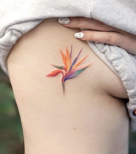 Best Meaningful Tattoos, Flower Tattoos Meanings, Bird Of Paradise Tattoo, Cool Tattoos For Girls, Paradise Tattoo, Tattoos For Girls, Upper Arm Tattoos, Best Tattoos, Modern Tattoos