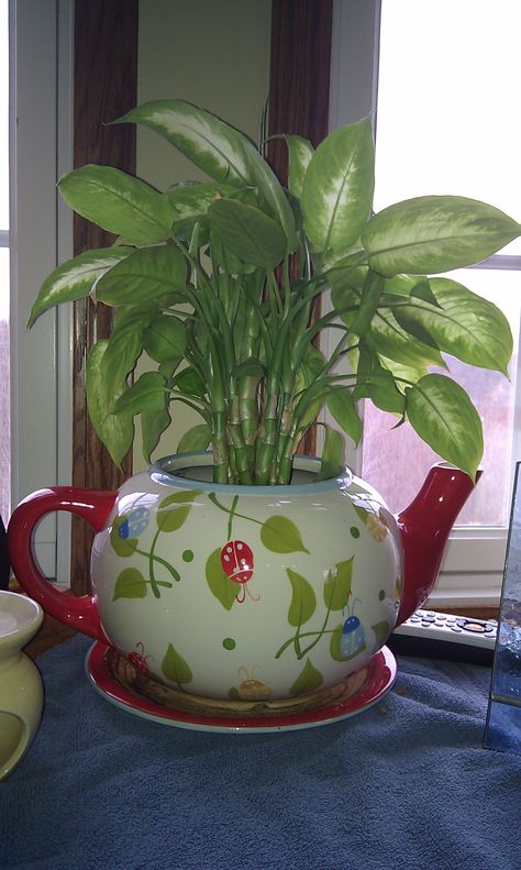 Plants In Teapots, Tea Pot Planter, Teapot Planter, Teapot Garden, Tea Cottage, Flower Cartoon, Teapots Unique, Pot Vase, My Bday