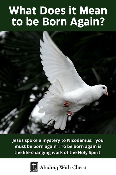 Jesus spoke a mystery to Nicodemus: “you must be born again”. To be born again is the life-changing work of the Holy Spirit. #Jesus #Christ #Bible #Christian You Must Be Born Again, Abide In Christ, Born Again Christian, Christian Prints, Mean To Be, Born Again, Cultural Identity, The Holy Spirit, Church Decor