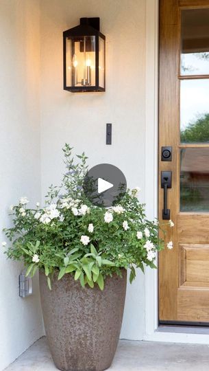 148K views · 5.3K reactions | Here's a tip on front door decor!✨🌳🧡comment "DECOR" and I'll send you a DM💌🌸I'm sharing my tips on choosing planters and faux trees for the front door space! #frontdoordecor #outdoordesign #planters #homestyling | ✨Kate Fuller✨ | JVKE · clouds Kate Fuller, Faux Trees, Front Verandah, Front Porch Design, Faux Tree, Front Porches, Front Porch Decorating, Porch Design, Front Doors