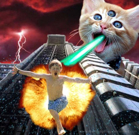 Cat Attack, Galaxy Cat, Silly Cats Pictures, Retro Cats, Silly Images, Silly Animals, Space Cat, Silly Pictures, Funny Cute Cats