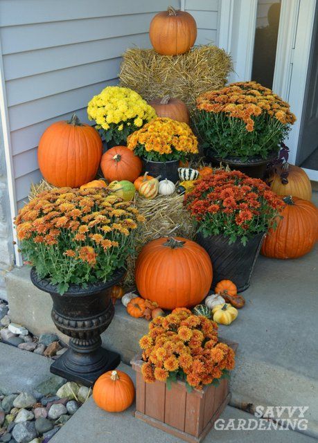 Farmhouse Fall Porch Decor, Outside Fall Decorations, Fall Pots, Fall Yard Decor, Outside Fall Decor, Fall Containers, Fall Front Porch Decor, Fall Deco, Fall Thanksgiving Decor