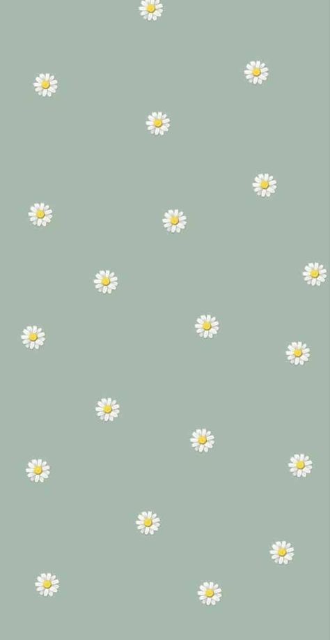 Cute Wallpapers For Ipad, Daisy Wallpaper, Simple Iphone Wallpaper, Cute Pastel Wallpaper, Soft Wallpaper, Iphone Wallpaper Themes, Cute Simple Wallpapers, Iphone Wallpaper Tumblr Aesthetic, Phone Wallpaper Patterns