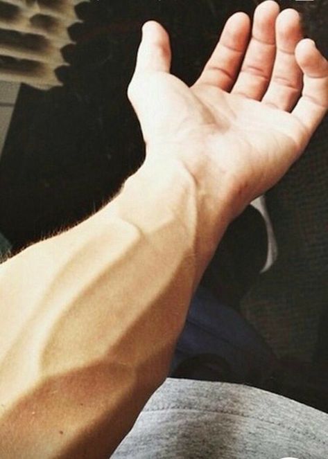 Pin by obi wap kenobi on Veiny hands and arms | Hand pictures, Hand veins, Daddy aesthetic Arm Veins, Veiny Arms, Veiny Hands, Hand Veins, Vein Health, Men Exercises, Hand Exercises, Tattoo Inspiration Men, Hand Drawing Reference