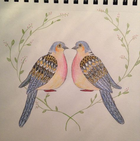 Two turtle doves colored pencil drawing in Emily Lamm's Twelve Days of Christmas art series Two Turtle Doves Christmas, Turtle Dove Tattoo, Doves Drawing, Two Turtles, Two Turtle Doves, Turtle Doves, Dove Tattoo, Cartoon Turtle, Turtle Dove