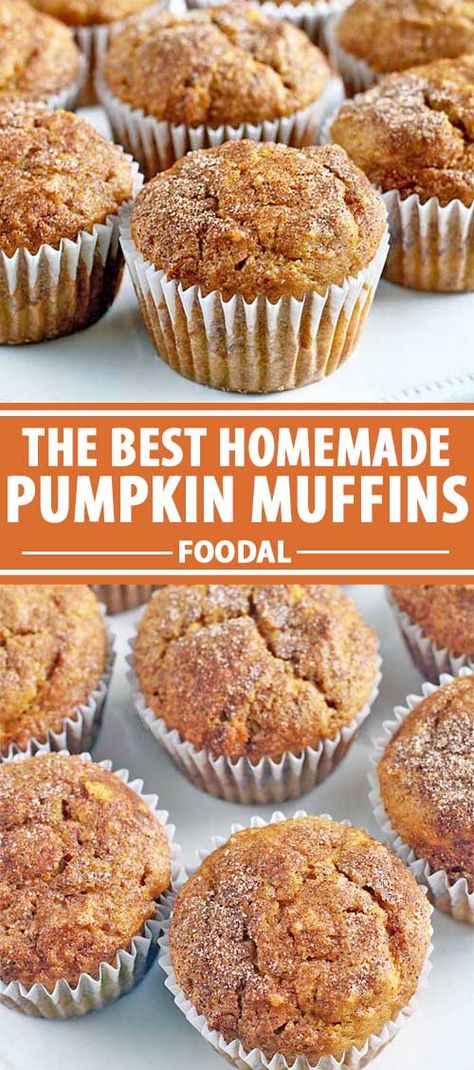 With sugar, spice, and everything nice, these perfect pumpkin muffins are not overpoweringly sweet, and have a super moist center with flecks of cinnamon and sugar on top. Learn how to make the recipe so you and the family can enjoy them during any fall morning. #pumpkinrecipes #muffin #foodal Pumpkin Pecan Crunch Muffins, Muffins With Pumpkin Puree, Buttermilk Pumpkin Muffins, Pumpkin Walnut Muffins, Pumpkin Mini Muffins, Muffin Monday, Homemade Pumpkin Muffins, Pumpkin Pie Muffins, Easy Pumpkin Muffins