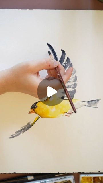 Loose Watercolor Flowers, Wing Feathers, American Goldfinch, Watercolour Ideas, Bird Watercolor Paintings, Cottage Decor Farmhouse, Bird Paintings, Oil Painting Tutorial, Instagram Painting