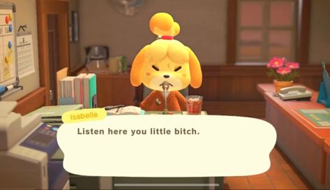 A picture of angry Isabelle during an announcement saying, “Listen her you little bitch.” Isabel Animal, Animal Crossing Banner, Animal Crossing Gif, Isabelle Animal Crossing, Animal Crossing Funny, Animal Crossing Characters, Silly Images, Youtube Banners, Laptop Wallpaper