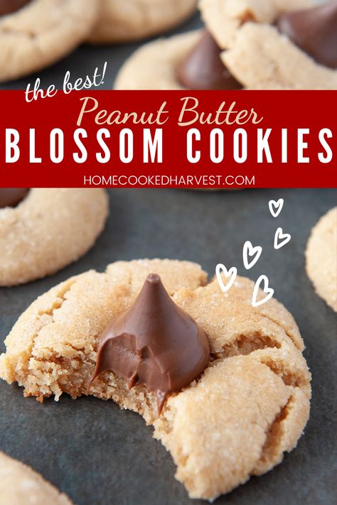 Pb Blossom Cookies Easy, Pb Blossom Cookies, Peanut Blossom Cookies, Peanut Butter Recipes Easy, Eggnog Dessert, Christmas Cookie Exchange Recipes, Peanut Butter Blossom, Fair Foods, Candy Bar Cookies