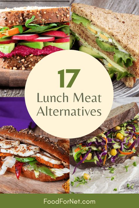 Why stick with boring lunch meat when there are so many other options? The ones featured in this list aren't just delicious. They're also very good for you. #lunches #veggies Healthy Sandwich Fillings, Healthy Lunch Meat, Vegan Burger Patties, Burger Alternatives, Veggie Burger Patties, Meat Sandwich, Sandwich Ingredients, Sandwich Fillings, Meat Alternatives