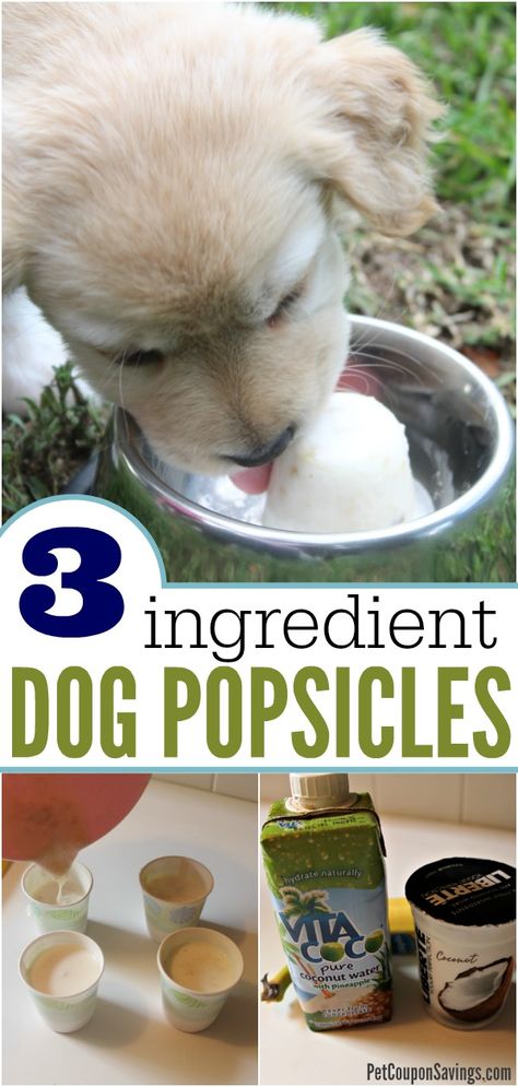 Tropical Pupsicles: Homemade Dog Popsicles! - Pet Coupon Savings Homemade Dog Treats Grain Free, Dog Popsicles, Pup Treats, Diy Foods, Puppy Tips, Dog Breed Names, Dog Treats Homemade Easy, Summer Popsicles, Easy Dog Treats