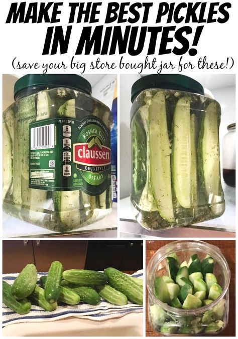 Deli Pickles Recipe, Pickles Refrigerator, Refrigerator Dill Pickles, Refrigerator Pickles Dill, Refrigerator Pickle Recipes, Pickle Recipes Homemade, Dill Pickle Recipe, Best Pickles, Refrigerator Pickles