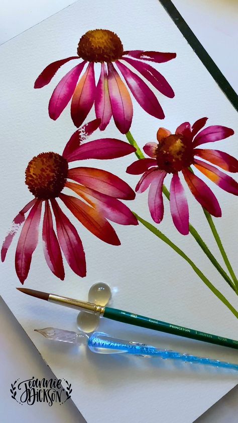 Echinacea Plant Drawing, How To Draw Cone Flowers, Cone Flower Watercolor, Watercolor Cone Flowers, Watercolour Echinacea, Jeannie Dickson Watercolor, Echinacea Illustration, Watercolor Echinacea, Echinacea Drawing