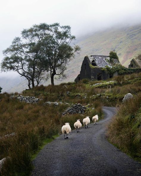 County Kerry Ireland, Celtic Aesthetic, Scottish Aesthetic, Lou Core, The Quiet Place, Cottage Witch Aesthetic, Dark Cottagecore Aesthetic, Ireland Aesthetic, Semper Fidelis