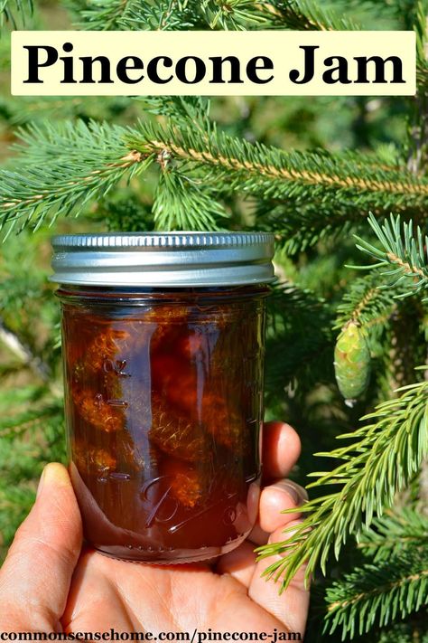 How to make pinecone jam, plus safety & storage tips. We'll talk a little about the medicinal qualities of evergreens, and homemade tonics. Pine Cone Jam, Pinecone Jam Recipe, Unique Jelly Recipes, Pinecone Jam, Winter Jam, Elderberry Wine, Wild Food Foraging, Foraging Recipes, Jam Recipes Homemade