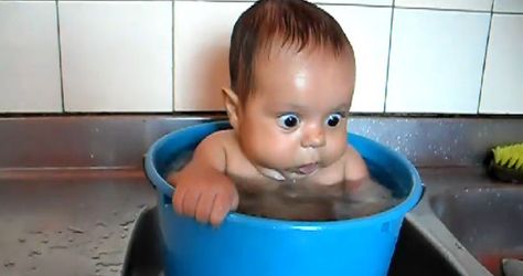 I'm a bundle of joy! Not a bucket of joy!! Baby Laughing Video, Baby Fails, Funny Babies Dancing, Funny Babies Laughing, Bebe Video, Funny Baby Videos, Funny Vines Youtube, Laughing Baby, Funny Baby Faces