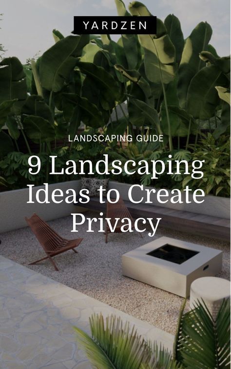 Pool Privacy, Privacy Landscaping Backyard, Garden Dividers, Landscaping Around Pool, Garden Landscaping Design, California Backyard, Small Backyard Design Layout, Small Backyard Design Ideas, Screen Plants