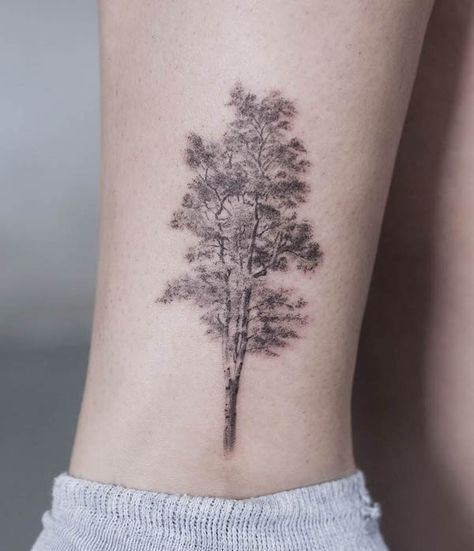 White Birch Tree Tattoo, Silver Birch Tree Tattoo, Tattoo Birch Tree, Detailed Tree Tattoo, Birch Leaves Tattoo, Black And White Tree Tattoo, Cottonwood Tree Tattoo, Silver Birch Tattoo, Birch Tree Tattoo For Women