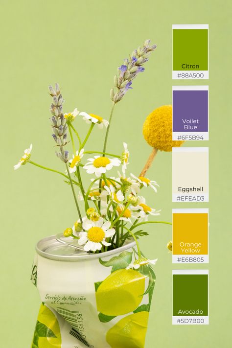 Purple Green And Yellow Color Palette, Lilac Green Color Palette, Lavendar Color Palette, Lime Green Color Combinations, Purple Yellow Aesthetic, Green And Yellow Color Palette, Floral Baking, Green Room Colors, Lavender Color Palette