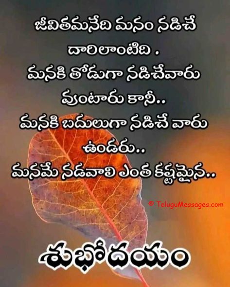 శుభోదయం Inspirational, Koteshans Telugu, Good Morning In Telugu, Good Morning Quotes Telugu, Telugu Good Morning Quotes, Good Moral Stories, Top Quotes Inspiration, Quote About Life, Morning Quotes For Friends