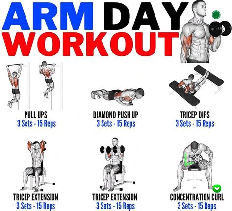 Whole Arm Workout, Arm Day Workout, Pull Day Workout, Arm Exercise, Gym Workout Guide, Gym Workout Planner, Mens Workout, Workout Routine For Men, Gym Workouts For Men