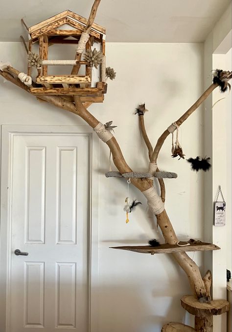 Cat tree house Modern Cat Furniture Diy, Built In Cat Tree, Cat Tree Wall Diy, Diy Cat Tree Real Branches, How To Make A Cat Tree, Driftwood Cat Tree, Cat Enrichment Ideas, Cat Room Ideas Small Spaces, Aesthetic Cat Tree