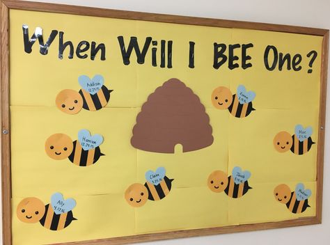 Infant birthday board~ When Will I BEE One?  🐝 When Will I Bee One Bulletin Board, Birthday Boards Infant Classroom, Infant Classroom Birthday Wall, Childcare Room Themes, Birthday Board Infant Classroom, Bumble Bee Birthday Board Classroom, Birthday Board For Infants, Birthday Walls For Daycare, Birthday Board For Infant Classroom