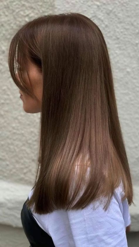 Hairstyles For All Hair Types, Hairstyles For Long Hair, Easy Hairstyles For Long Hair, Curtain Bangs, Light Brown Hair, Brown Hair Colors, Trendy Hairstyles, Hair Colors, Brown Hair