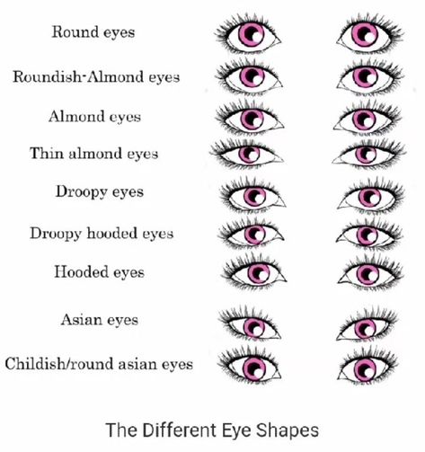 Shapes of eyes Eye Shape Chart, Different Types Of Eyes, Eye Color Chart, Shape Chart, Almond Shaped Eyes, Almond Eyes, Eye Chart, Types Of Eyes, Nose Shapes